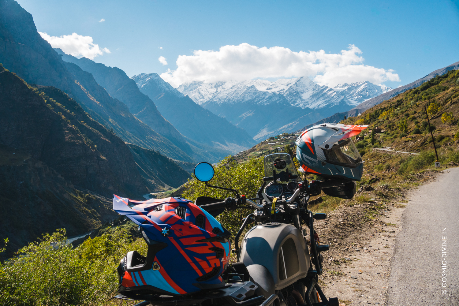 Cosmic-Divine-Herbs-Fungi-Himachal-48