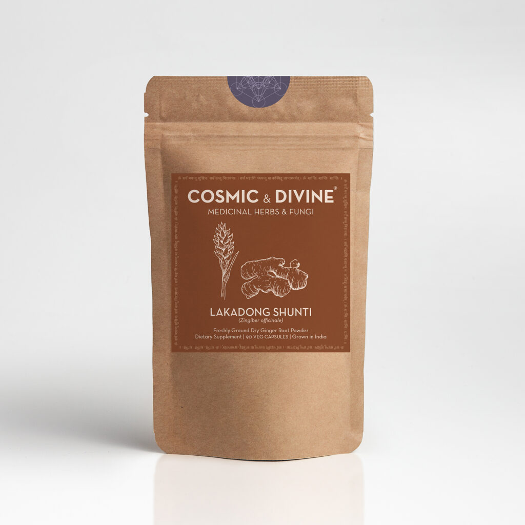CosmicDivine-Paper-Pouch-Shunti