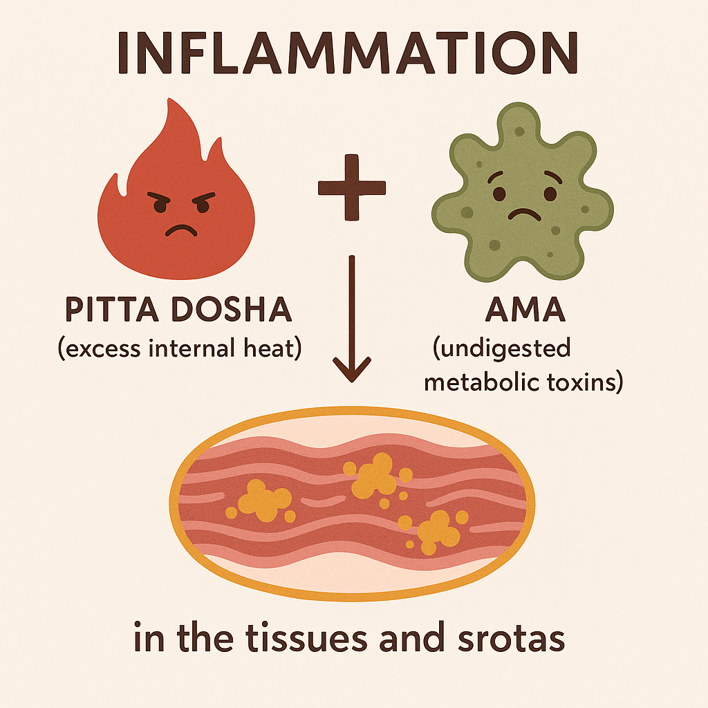 Pitta-Inflammation